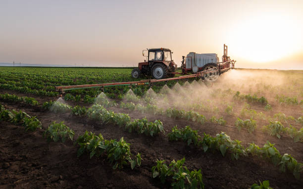 Best Commercial Pest Control Services  in Guernsey, WY