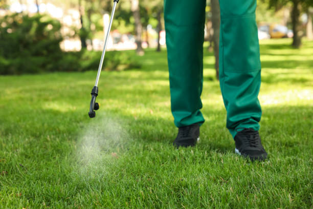 Best Cockroach Control Services  in Guernsey, WY
