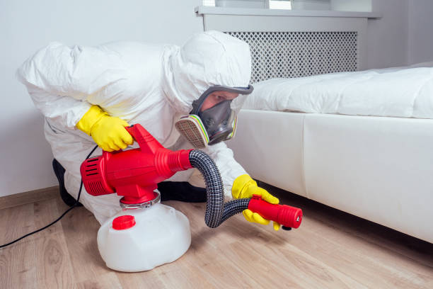 Best Flea Control Services  in Guernsey, WY
