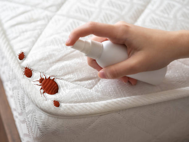Best Pest Control Near Me  in Guernsey, WY