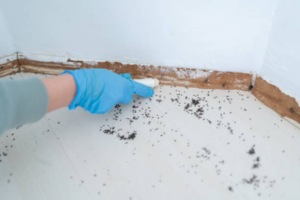 Best Wildlife Control Services  in Guernsey, WY