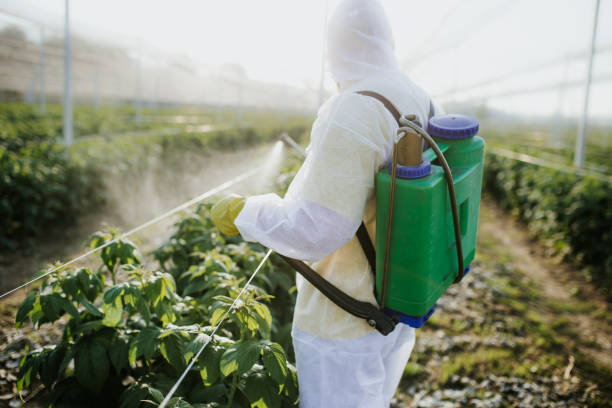 Best Wildlife Control Services  in Guernsey, WY